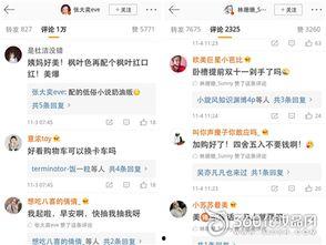 爆料网红卖货视频,揭秘网红卖货视频背后的真相与技巧